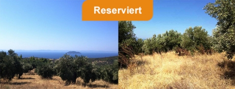 reserviertes Objekt - nicht mehr verfügbar