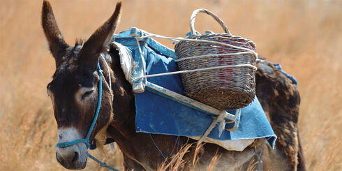 Griechenland zählt zu den Ländern mit den längsten Wochenarbeitszeiten