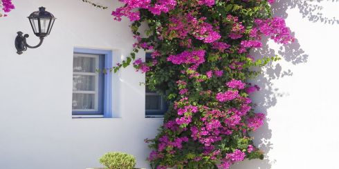 Notarielle Beurkundungen von Immobilienkäufen wieder möglich